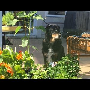 Meet your Posher, Belinda